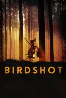 Theatrical poster for Sine50: Birdshot